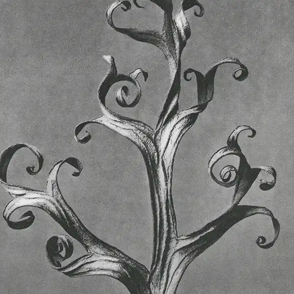 K. Blossfelt